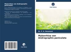 Bookcover of Mykorrhiza von Andrographis paniculata