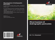 Micorrizazione di Andrographis paniculata kitap kapağı