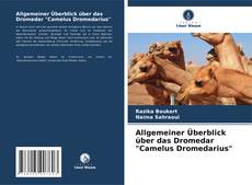 Copertina di Allgemeiner Überblick über das Dromedar "Camelus Dromedarius"