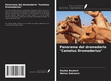 Copertina di Panorama del dromedario "Camelus Dromedarius"