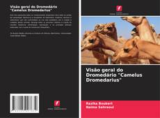 Copertina di Visão geral do Dromedário "Camelus Dromedarius"