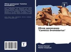 Обзор дромедара "Camelus Dromedarius" kitap kapağı
