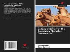 Couverture de General overview of the Dromedary "Camelus Dromedarius"