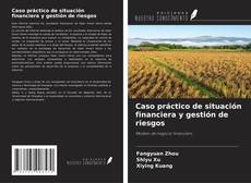 Copertina di Caso práctico de situación financiera y gestión de riesgos