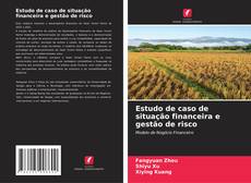 Bookcover of Estudo de caso de situação financeira e gestão de risco