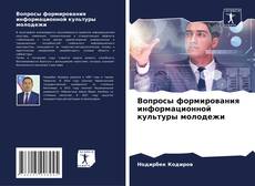 Copertina di Вопросы формирования информационной культуры молодежи