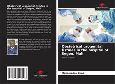 Bookcover of Obstetrical urogenital fistulas in the hospital of Segou, Mali