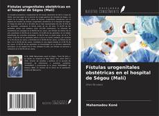 Fístulas urogenitales obstétricas en el hospital de Ségou (Malí)的封面