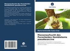 Portada del libro de Massenaufzucht des Parasitoiden Hambletonia pseudococcina