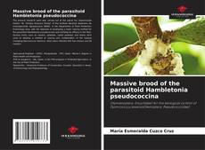 Couverture de Massive brood of the parasitoid Hambletonia pseudococcina