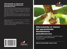 Couverture de Allevamento in massa del parassitoide Hambletonia pseudococcina