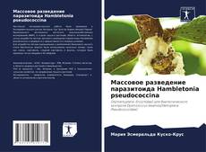 Copertina di Массовое разведение паразитоида Hambletonia pseudococcina