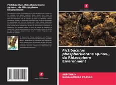 Fictibacillus phosphorivorans sp.nov., da Rhizosphere Environment kitap kapağı