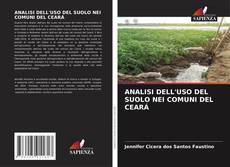 Couverture de ANALISI DELL'USO DEL SUOLO NEI COMUNI DEL CEARÁ