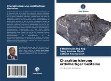 Bookcover of Charakterisierung erdölhaltiger Gesteine