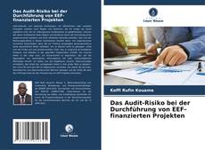 Portada del libro de Das Audit-Risiko bei der Durchführung von EEF-finanzierten Projekten