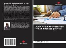 Audit risk in the operation of EDF-financed projects的封面