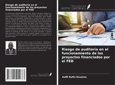 Copertina di Riesgo de auditoría en el funcionamiento de los proyectos financiados por el FED