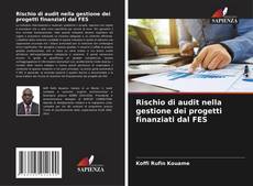 Copertina di Rischio di audit nella gestione dei progetti finanziati dal FES