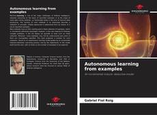 Copertina di Autonomous learning from examples