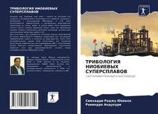 Copertina di ТРИБОЛОГИЯ НИОБИЕВЫХ СУПЕРСПЛАВОВ