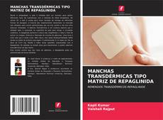 MANCHAS TRANSDÉRMICAS TIPO MATRIZ DE REPAGLINIDA kitap kapağı