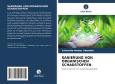 SANIERUNG VON ORGANISCHEN SCHADSTOFFEN kitap kapağı