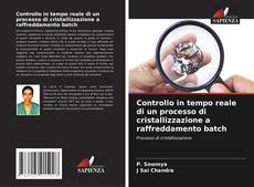 Couverture de Controllo in tempo reale di un processo di cristallizzazione a raffreddamento batch