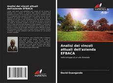 Analisi dei vincoli attuali dell'azienda EFBACA kitap kapağı