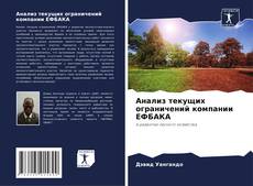 Borítókép a  Анализ текущих ограничений компании ЕФБАКА - hoz