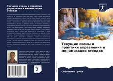 Capa do livro de Текущие схемы и практики управления и минимизации отходов 