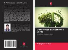 O Marrocos da economia verde的封面