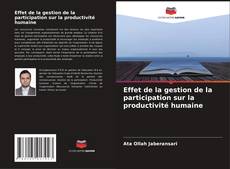 Copertina di Effet de la gestion de la participation sur la productivité humaine