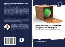 Buchcover von Детерминанты функции закупок в Камеруне