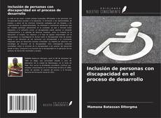 Inclusión de personas con discapacidad en el proceso de desarrollo的封面