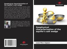 Geophysical characterisation of the aquifer's salt wedge kitap kapağı
