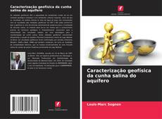 Portada del libro de Caracterização geofísica da cunha salina do aquífero