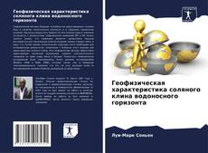 Buchcover von Геофизическая характеристика соляного клина водоносного горизонта