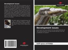 Development issues kitap kapağı