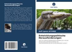 Entwicklungspolitische Herausforderungen kitap kapağı