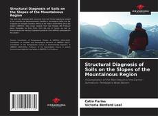 Bookcover of Structural Diagnosis of Soils on the Slopes of the Mountainous Region