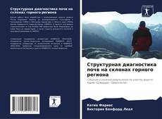 Buchcover von Структурная диагностика почв на склонах горного региона