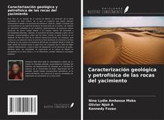 Copertina di Caracterización geológica y petrofísica de las rocas del yacimiento