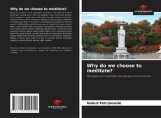 Bookcover of Why do we choose to meditate?