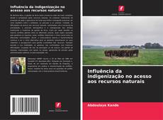 Обложка Influência da indigenização no acesso aos recursos naturais