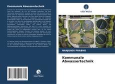 Kommunale Abwassertechnik kitap kapağı