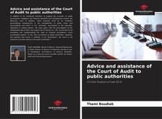 Advice and assistance of the Court of Audit to public authorities的封面