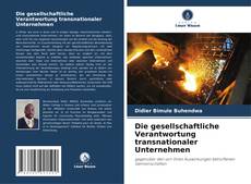 Die gesellschaftliche Verantwortung transnationaler Unternehmen kitap kapağı