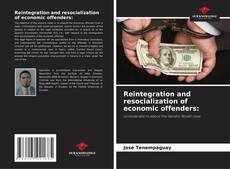 Reintegration and resocialization of economic offenders: kitap kapağı