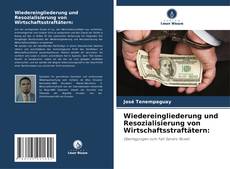 Wiedereingliederung und Resozialisierung von Wirtschaftsstraftätern: kitap kapağı